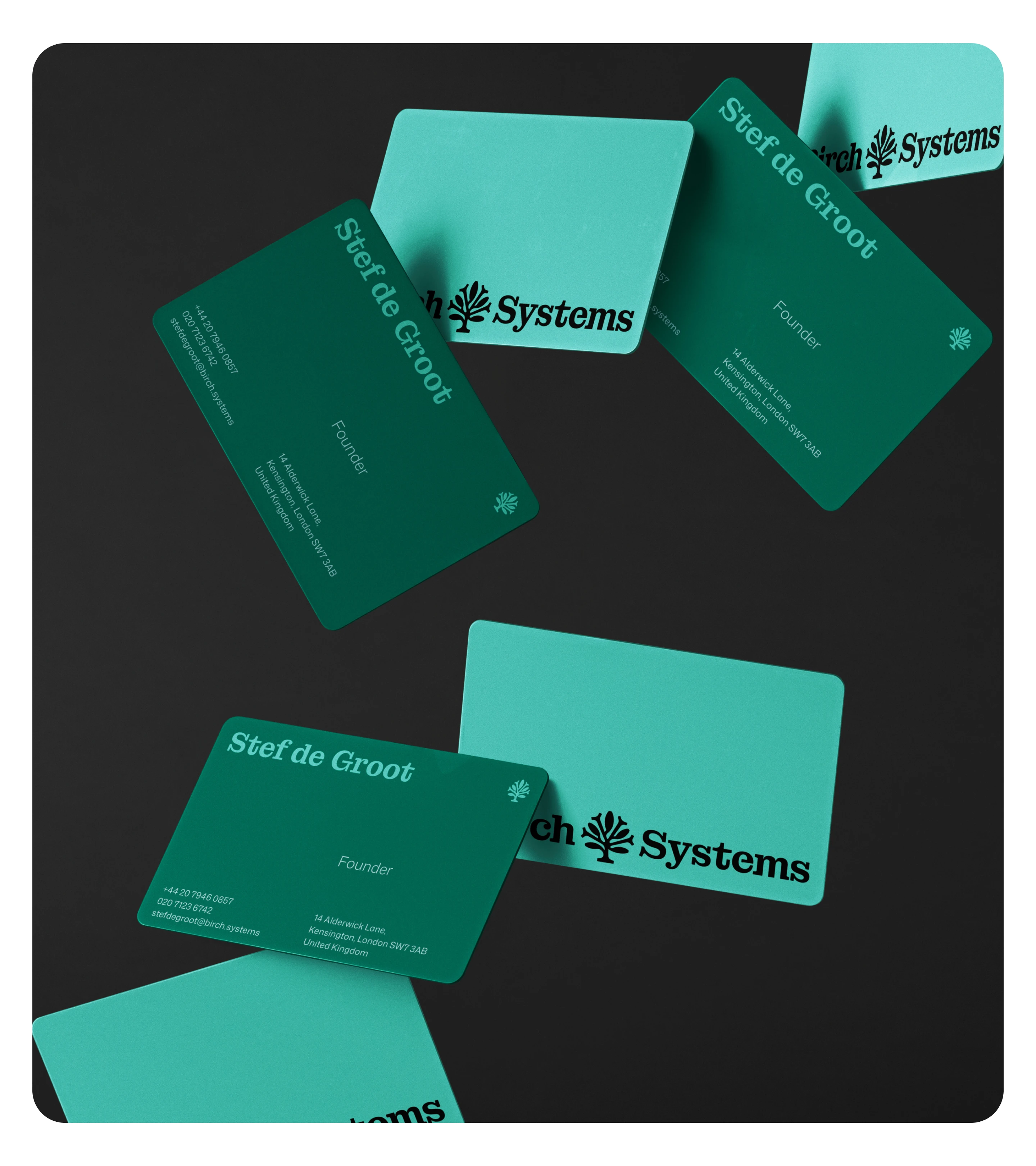 birch systems visual identity