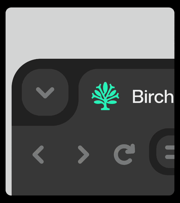 birch systems visual identity