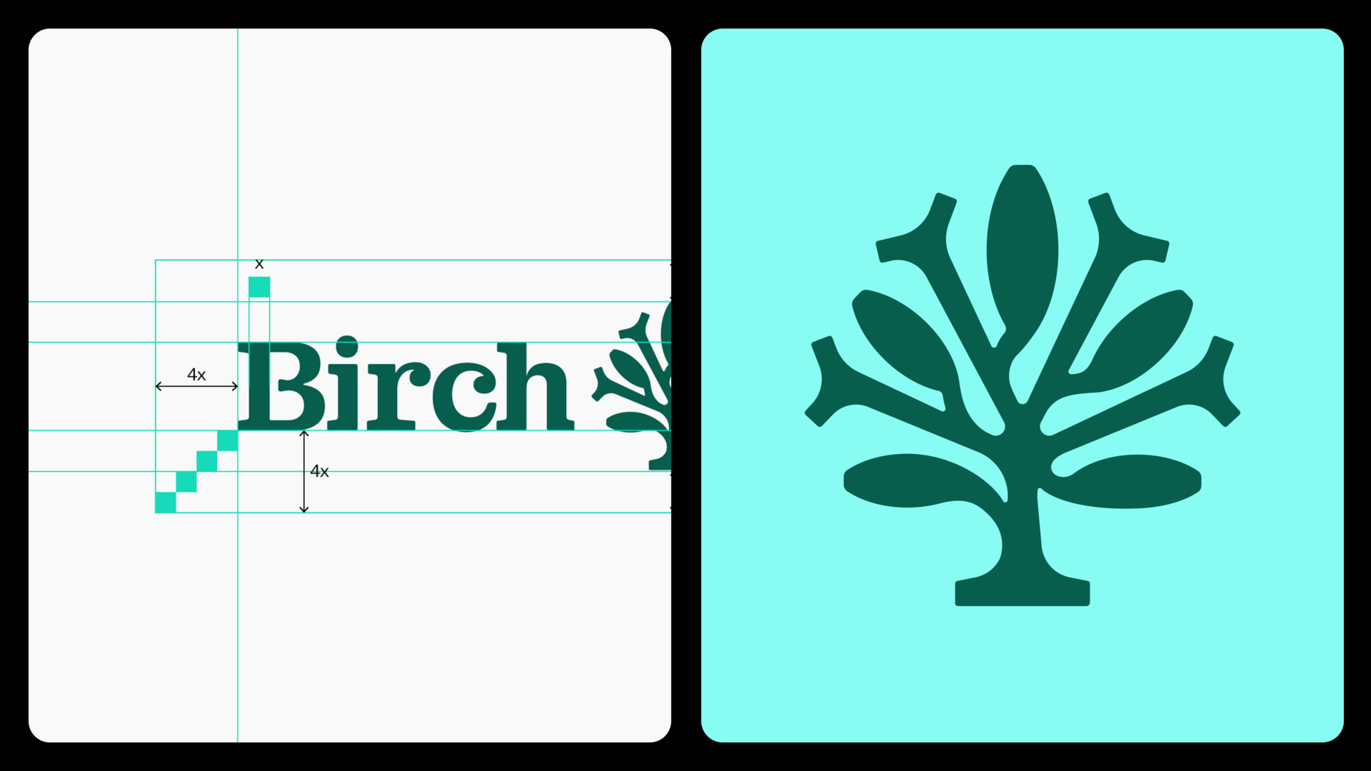 birch systems visual identity