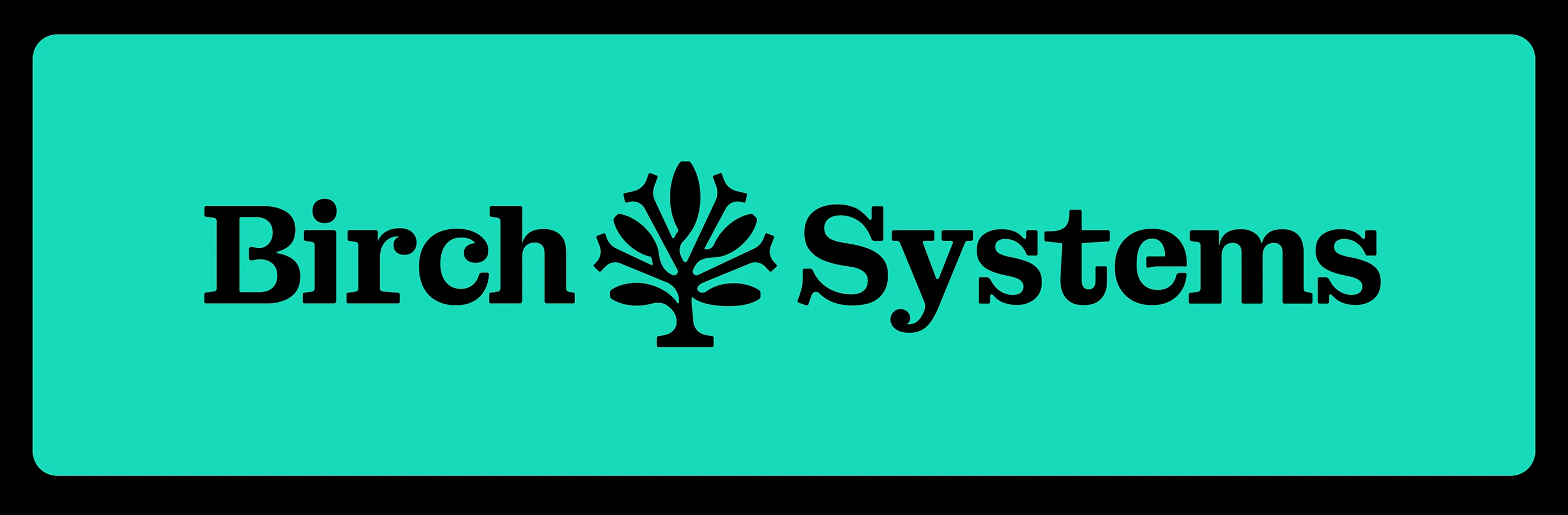 birch systems visual identity
