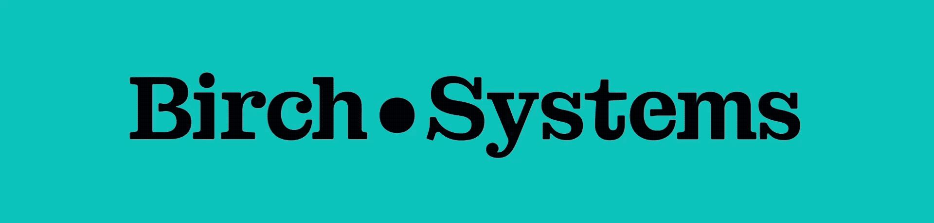 birch systems visual identity