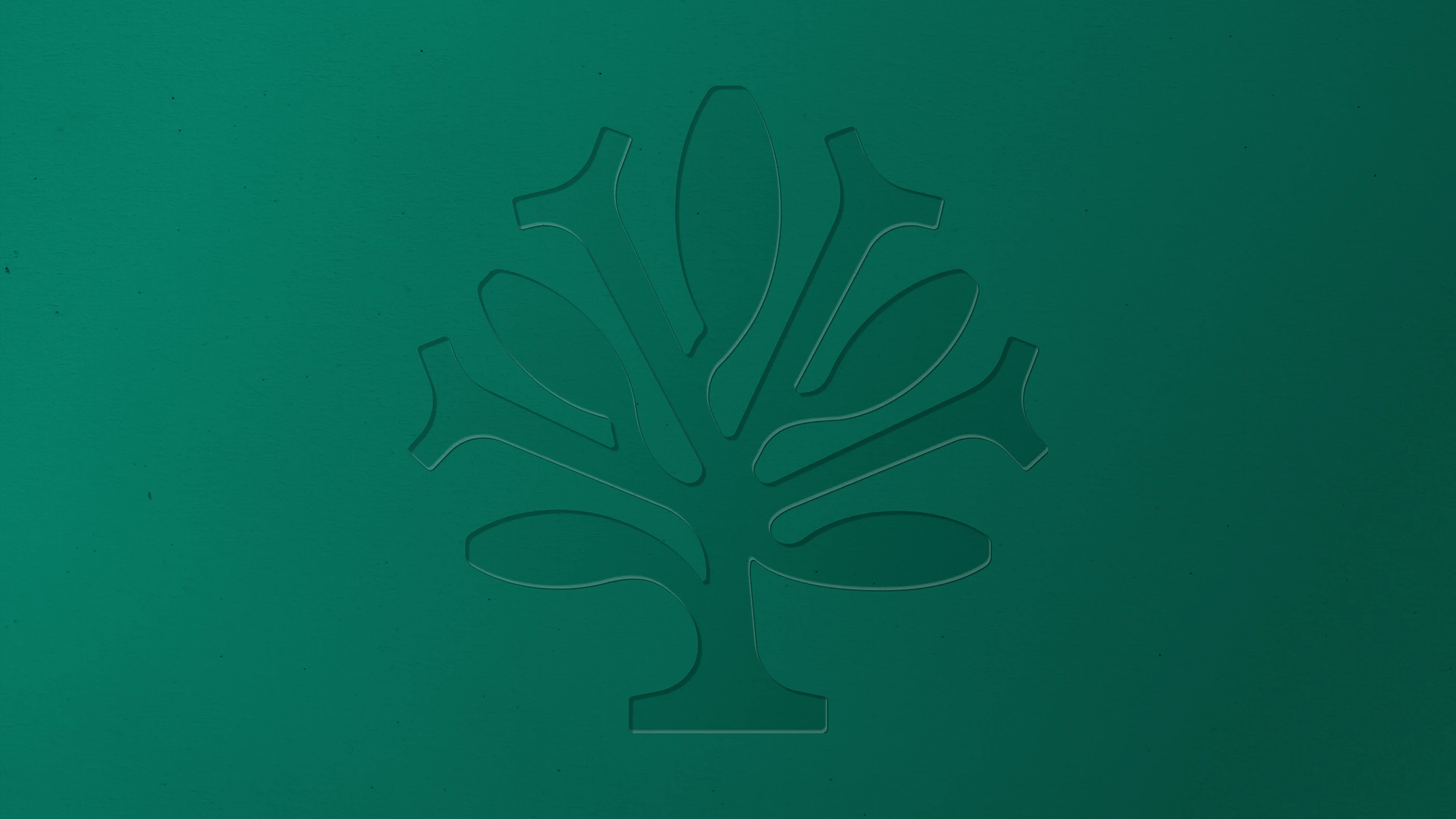 birch systems visual identity