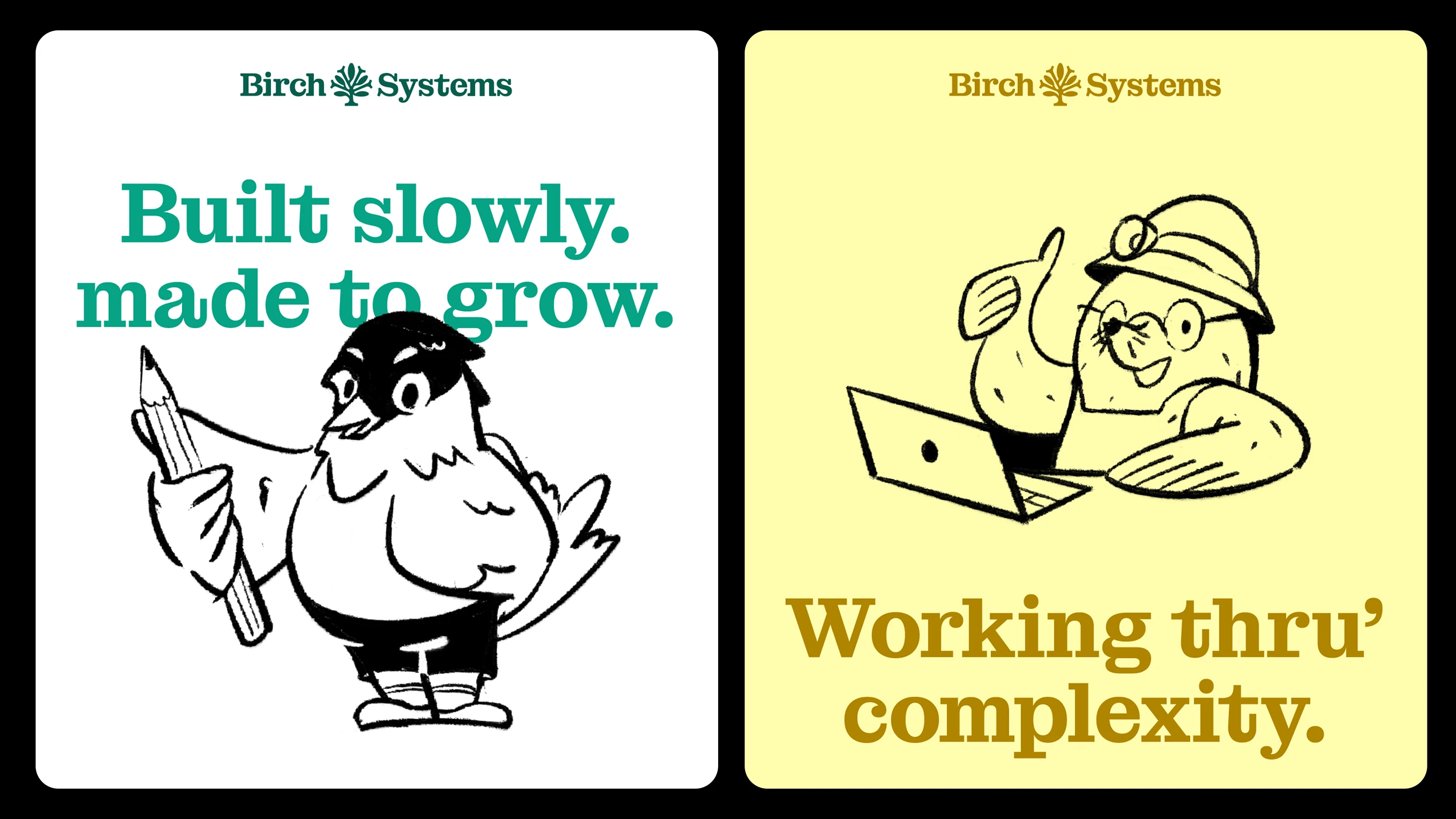 birch systems visual identity