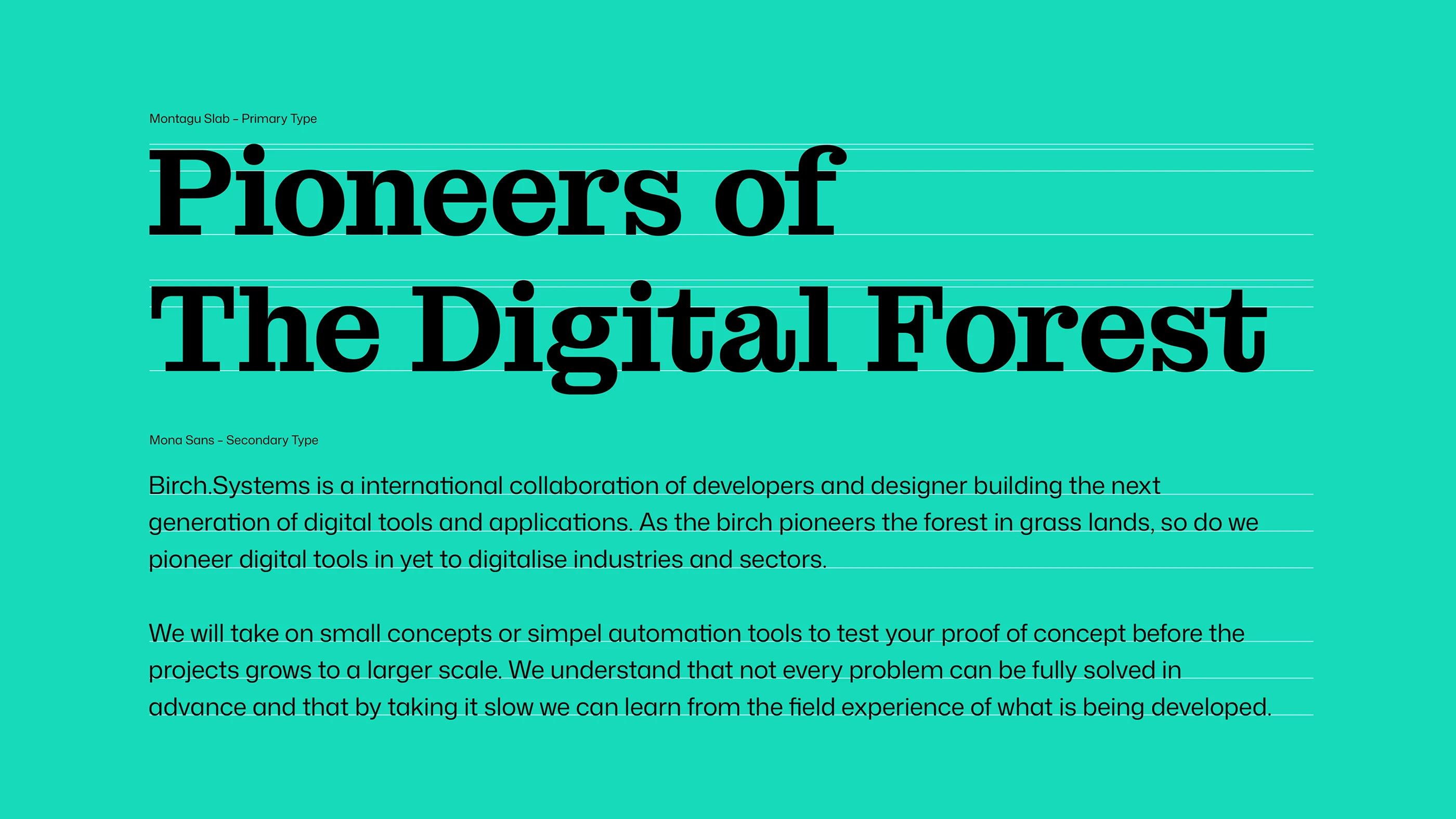 birch systems visual identity